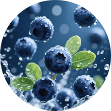 Blue Razz Gummy Bear