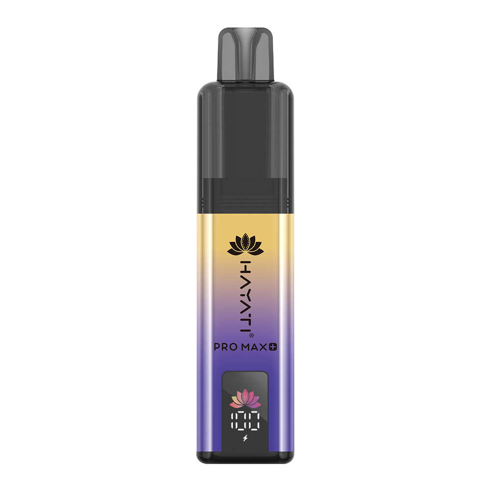 Blackcurrant Mango