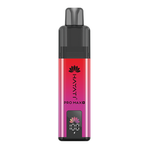 Strawberry Raspberry Ice